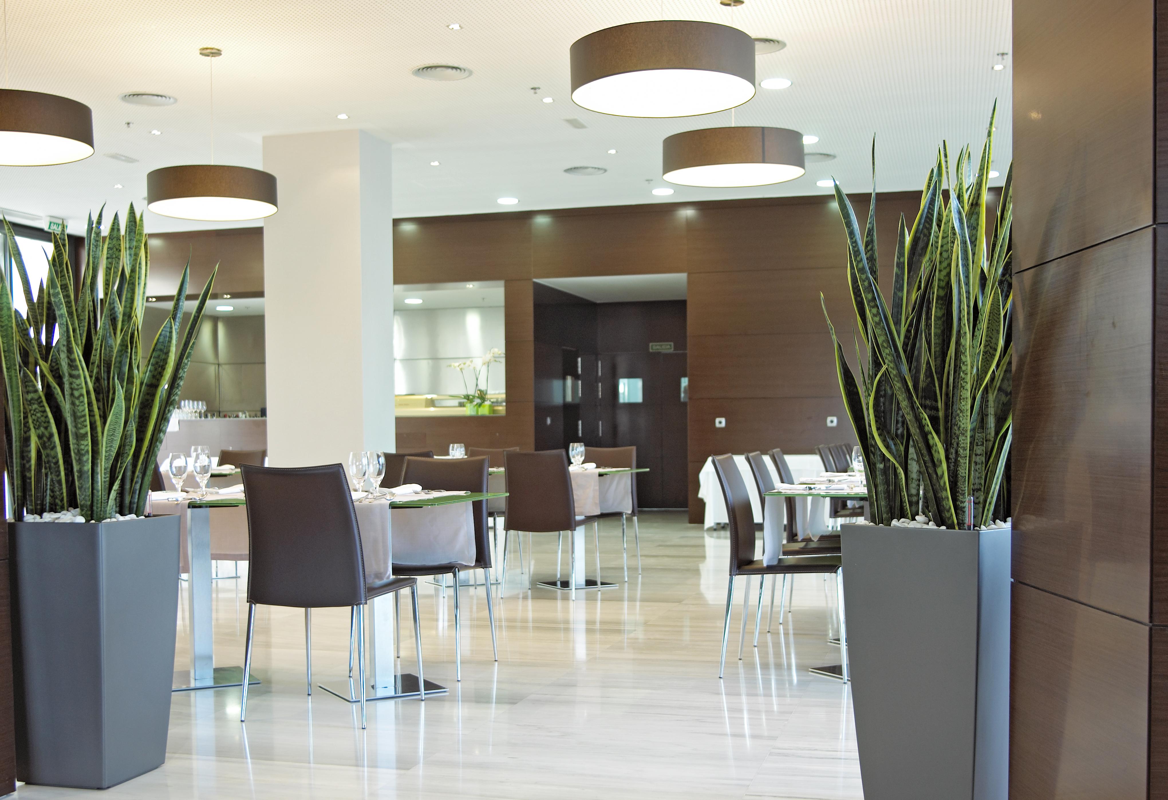 Sercotel Jc1 Murcia Étterem fotó